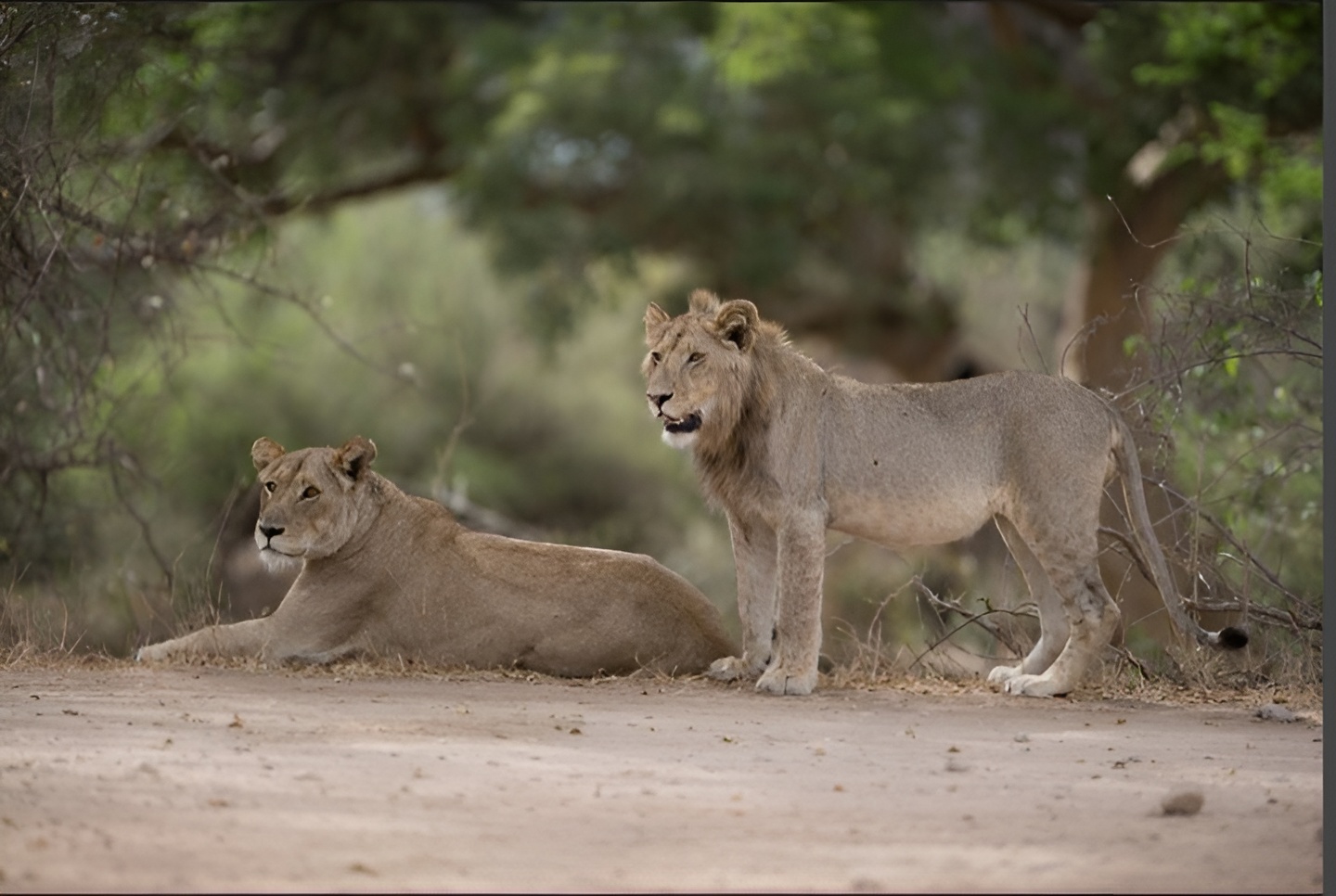 Fly‑in Tsavo