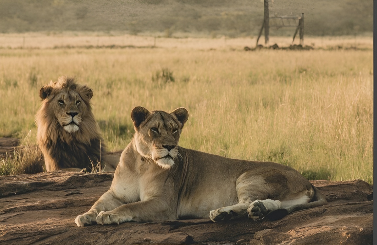 Luxury tented camp accommodation