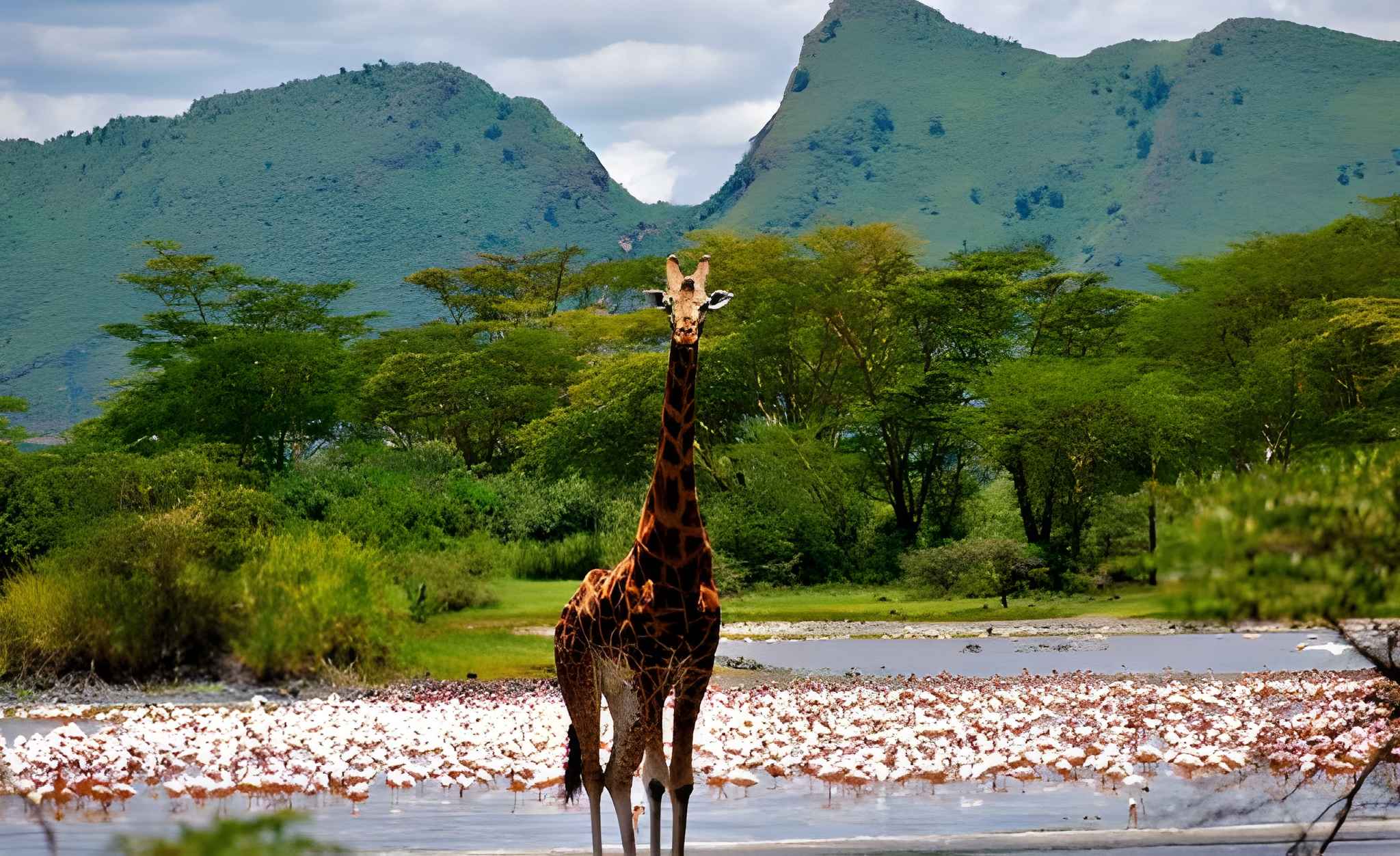Elementaita