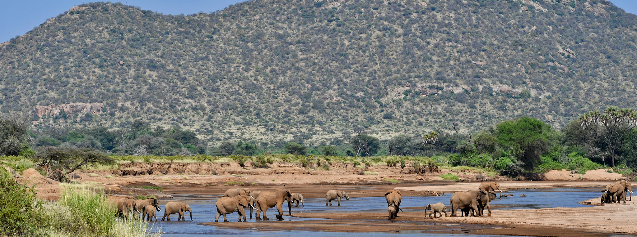 Ewaso Nyiro River