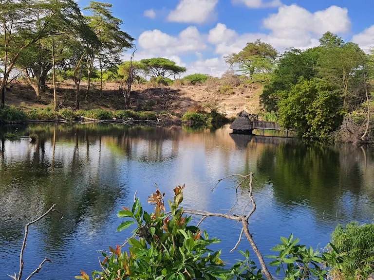 Ngulia Rhino Sanctuary
