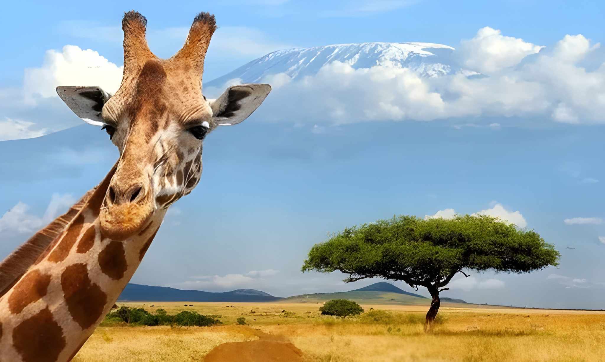 Mt Kenya