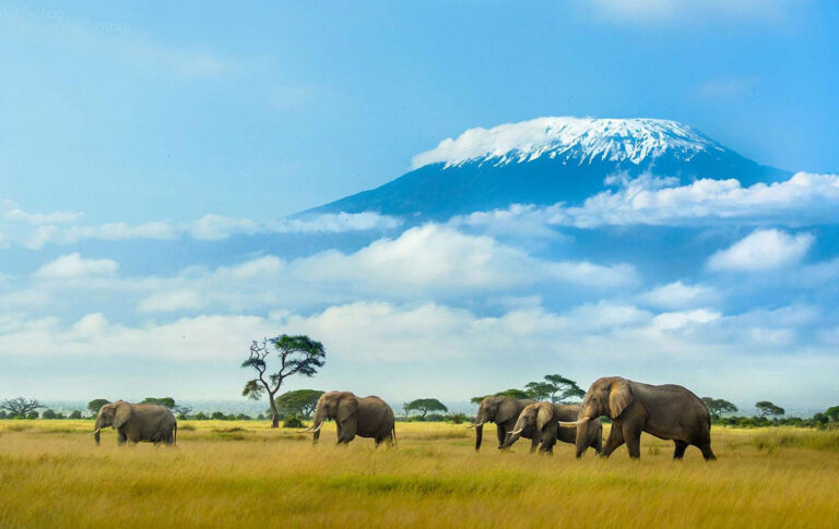 Ol Tukai Lodge exterior with Kilimanjaro view